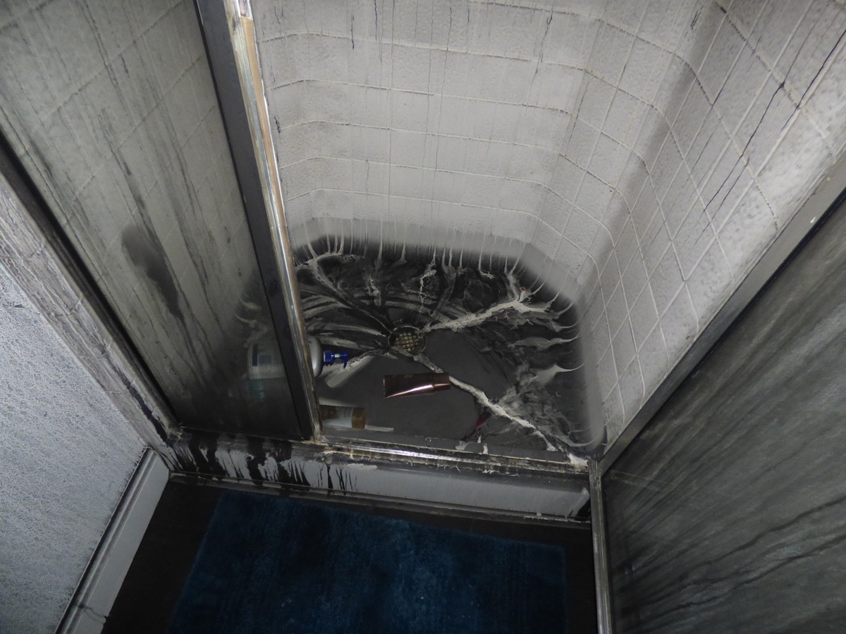 10733 Vista damage detail