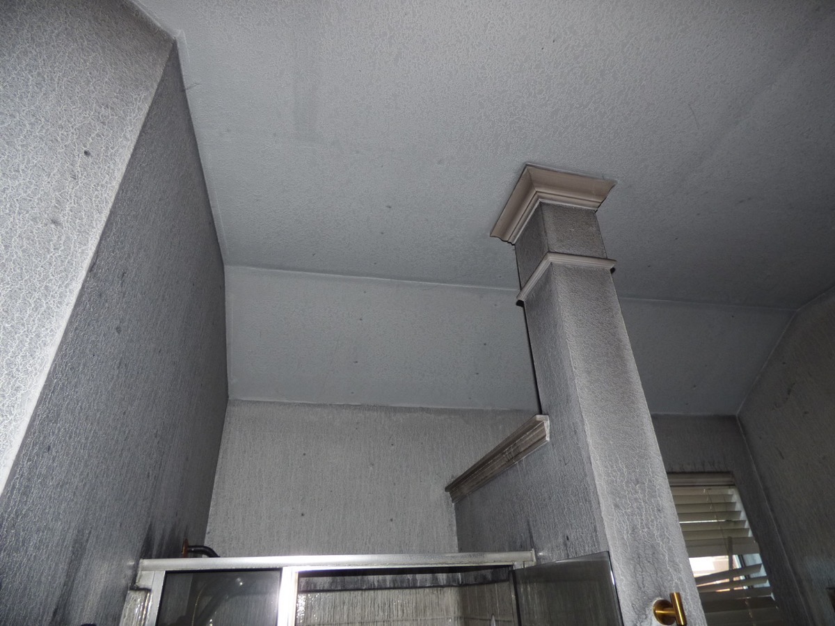 10733 Vista ceiling damage